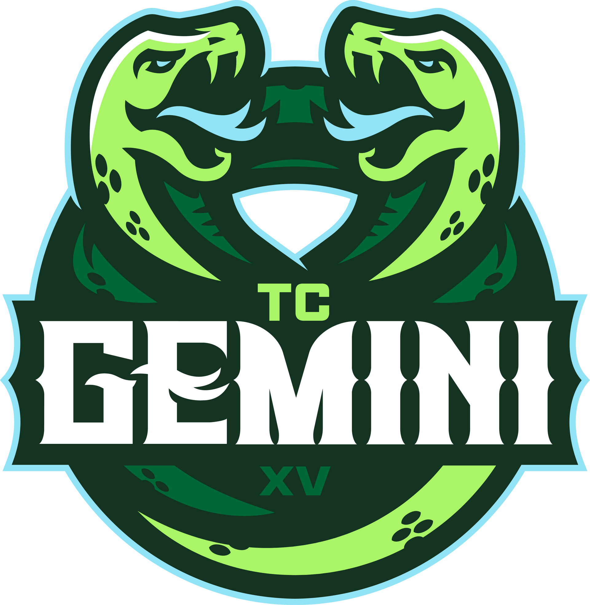TC Gemini | Home